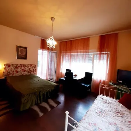 Vila Kraljica Vrdnik Room photo