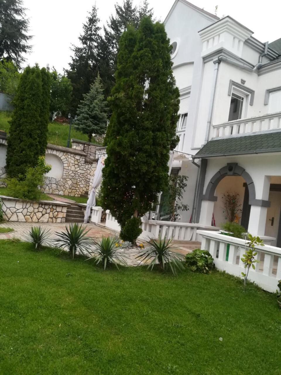 Kraljica Apartment