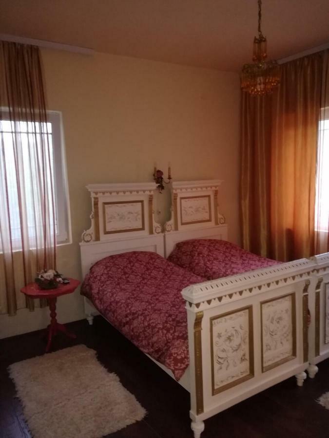 Kraljica Apartment Vrdnik